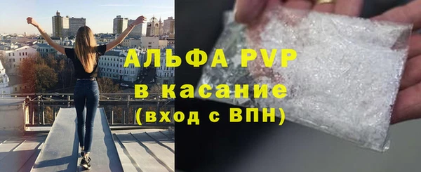 прущие грибы Майский