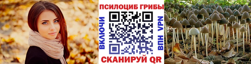 Псилоцибиновые грибы прущие грибы  где купить наркотик  Дыгулыбгей 